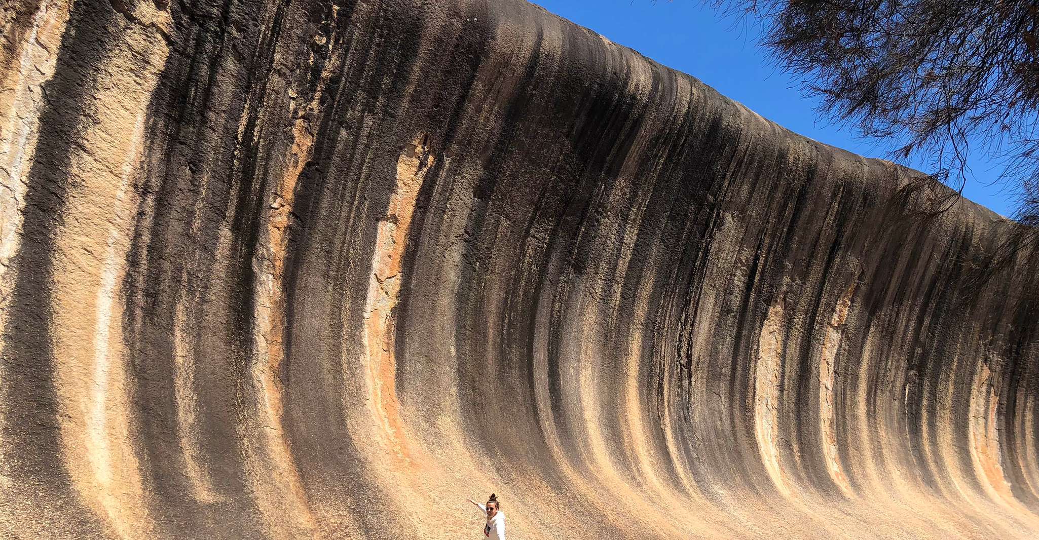From Perth, Margaret River to Esperance 6-Day Tour - Housity