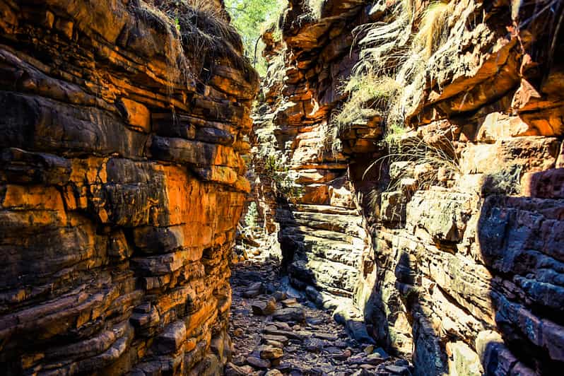 Adelaide Eyre Peninsula and Flinders Ranges Adventure Trip GetYourGuide