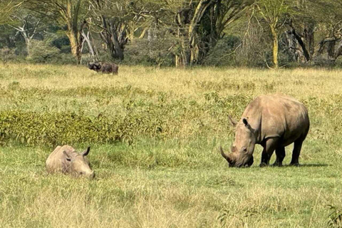 Nairobi: Giro in barca del Lago Naivasha e Parco Nazionale Hell&#039;s GateNairobi: escursione di un giorno alla Porta dell&#039;Inferno e al lago Naivasha