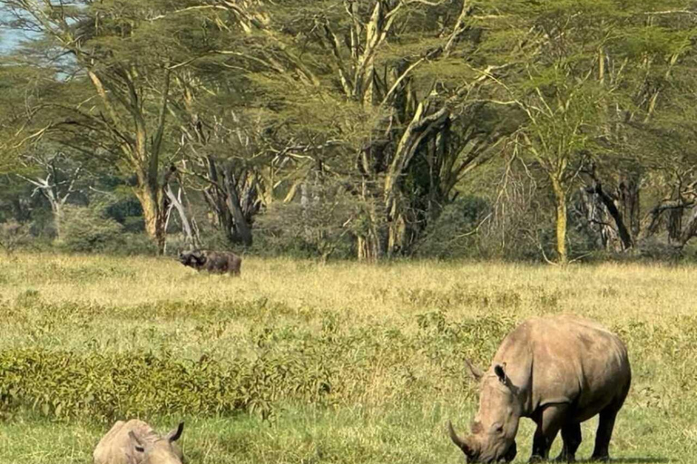 Nairobi: Giro in barca del Lago Naivasha e Parco Nazionale Hell&#039;s GateNairobi: escursione di un giorno alla Porta dell&#039;Inferno e al lago Naivasha