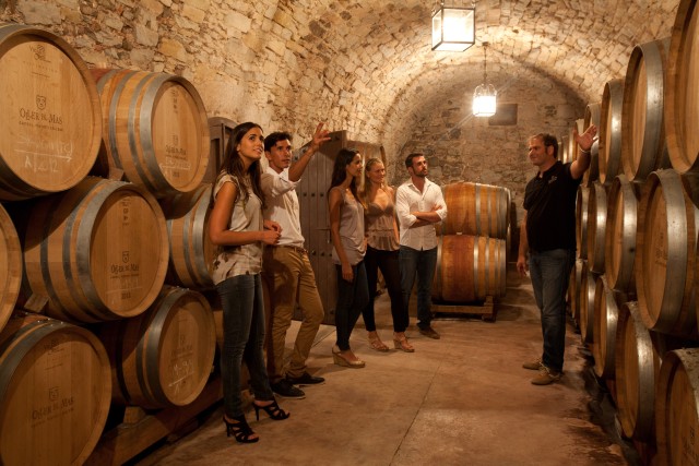 Visit Galicia Group Winery Tour and Tasting in A Guarda