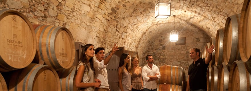 Rías Baixas Albariño : visite du vignoble et fromage