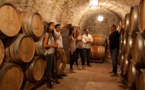 Galicia: Group Winery Tour and Tasting