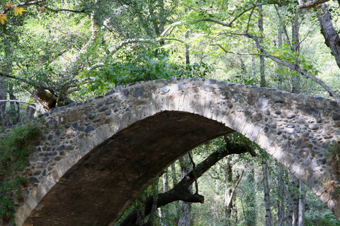 From Paphos: Troodos-Venetian Bridge-Millomeris Waterfall