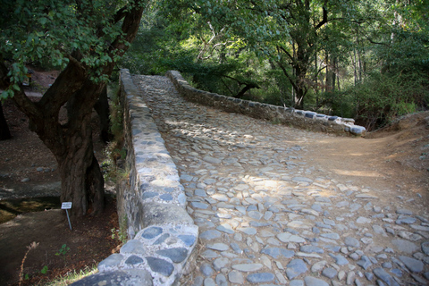 Von Paphos: Troodos-Venezianische Brücke-Millomeris-Wasserfall