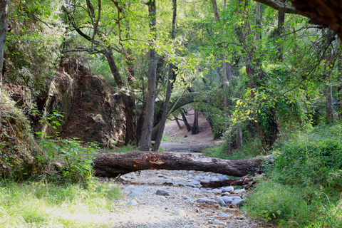 Desde Paphos: Puente Troodos-Veneciano-Cascada Millomeris