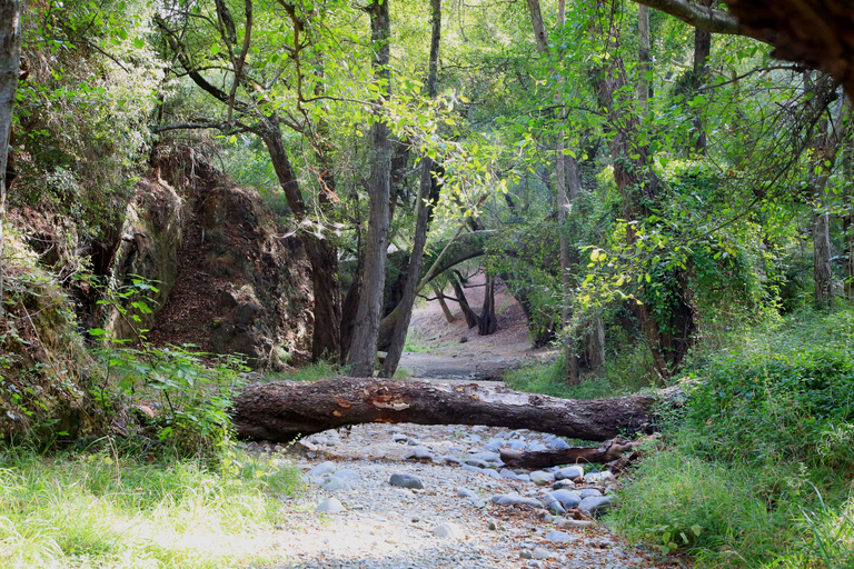 Från Paphos: Troodos-Venetianska bron-Millomeris vattenfall