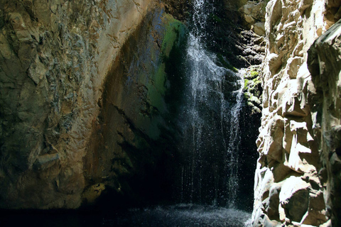 Från Paphos: Troodos-Venetianska bron-Millomeris vattenfall