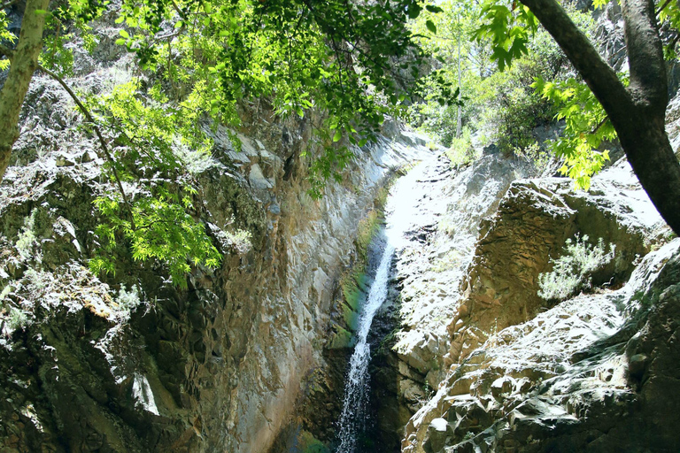 Från Paphos: Troodos-Venetianska bron-Millomeris vattenfall