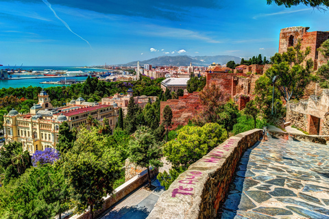 Ab Cordoba: Private Tour durch Malaga