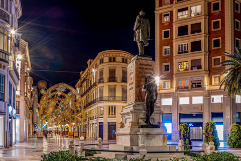 Desde Córdoba: tour privado de Málaga