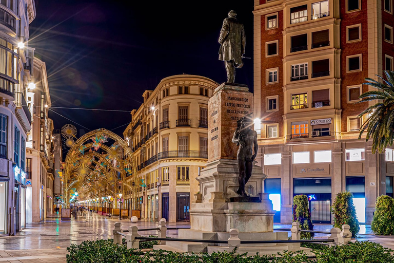 From Cordoba: Private Tour of Malaga