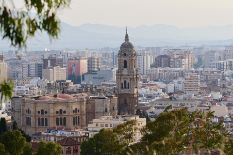 From Cordoba: Private Tour of Malaga