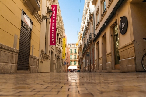 Ab Cordoba: Private Tour durch Malaga