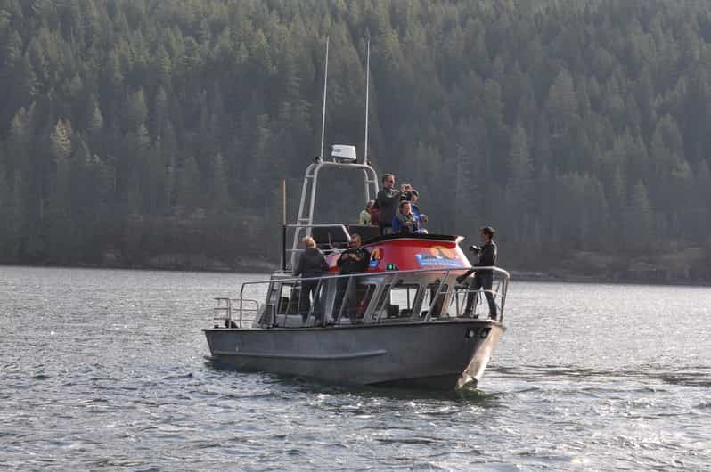 Campbell River Bute Inlet GrizzlyWatching Tour & Boat Ride GetYourGuide