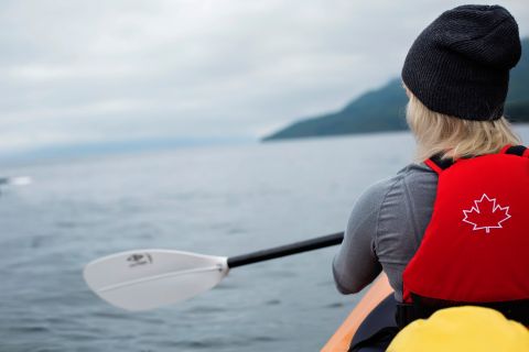 Campbell River: Kayaking and Whale Watching Tour