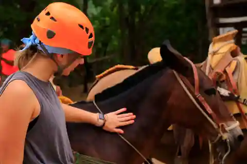 Puerto Vallarta: Canopy River Zip Line Tour with Mule Ride
