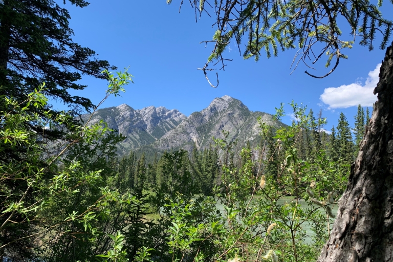 Banff: wandeltocht door de natuurBanff-natuurwandeling