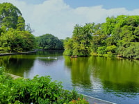 Botanic Gdns, Tiong Bahru & Gardens by the Bay Walking Tour - Hizvo