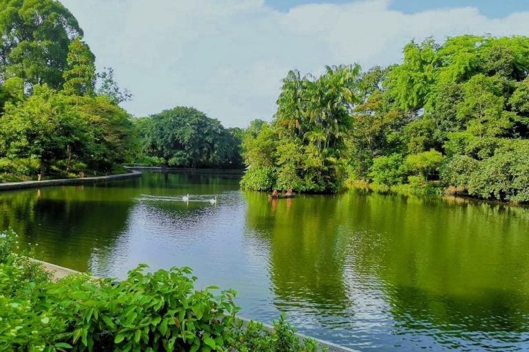 Paseo por los Jardines Botánicos, Tiong Bahru y los Jardines de la BahíaSingapur: Excursión a pie al amanecer con desayuno