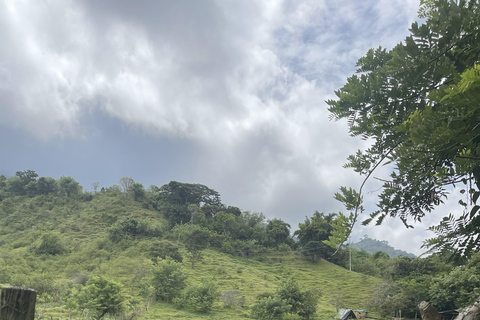 Minca: Coffee Farm and Hidden Waterfall Tour with Lunch