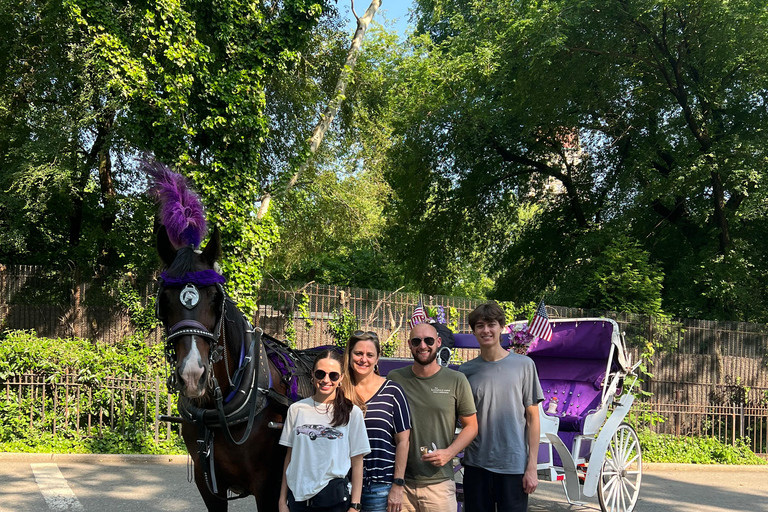 NYC: Passeio particular de carruagem a cavalo pelo Central Park com guiaPasseio particular de carruagem a cavalo pelas luzes de NYC ou pelas luzes de Natal