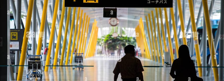 Luxueux transferts aéroport/croisière Singapour