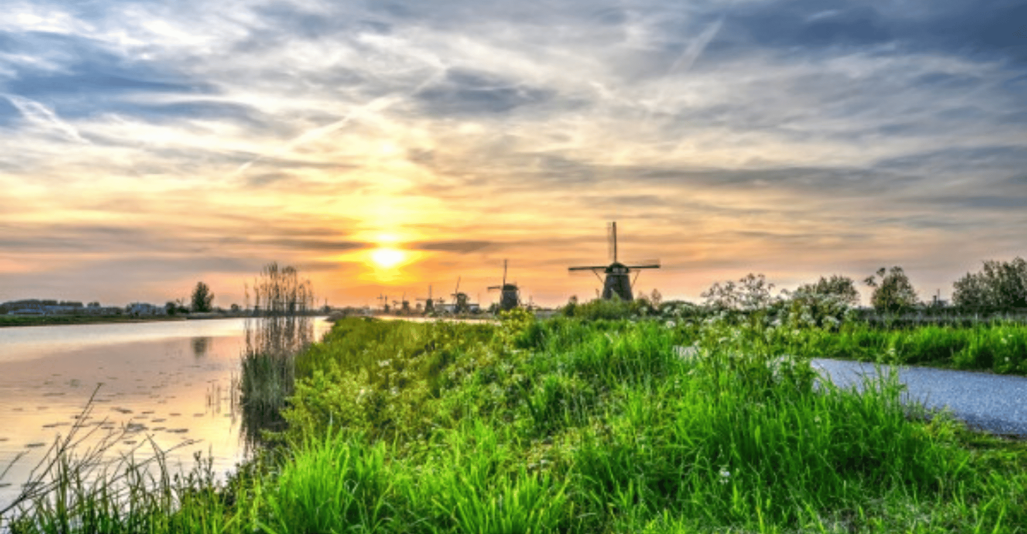 Leiden, Windmill and Countryside Cruise near Keukenhof - Housity