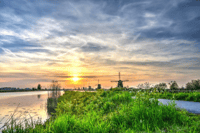 Leiden, Windmill and Countryside Cruise near Keukenhof - Housity