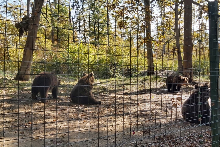 Bärenschutzgebiet-Bran Burg-Rasnov Festung von BrasovSiebenbürgen: Geführte Tour und Bärenschutzgebiet Zarnesti