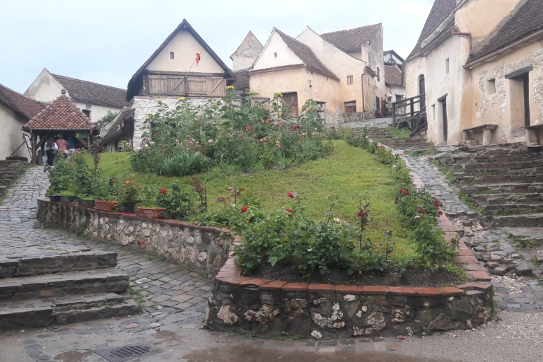 Sanctuaire des ours-Château de Bran-Forteresse de Rasnov de BrasovTransylvanie : visite guidée et sanctuaire des ours de Zarnesti