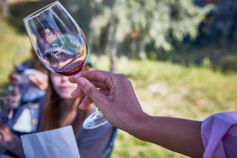 Ribera del Duero: tour de descubrimiento del vino tinto con degustaciones