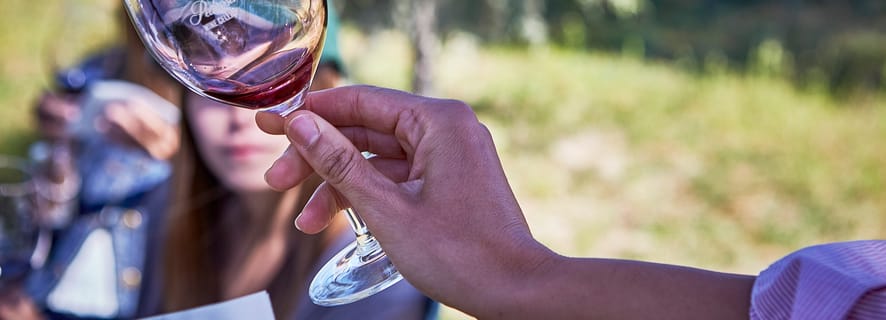Ribera del Duero: Red Wine Discovery Tour with Tastings