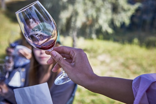 Visit Ribera del Duero Red Wine Discovery Tour with Tastings in Aranda de Duero