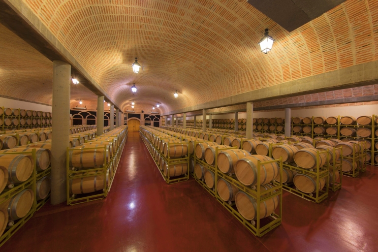 Ribera del Duero: Red Wine Discovery Tour with Tastings