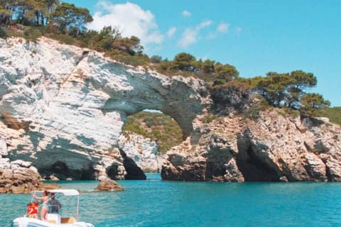Da Vieste: tour privato in barca degli archi e delle spiagge di Pizzomunno