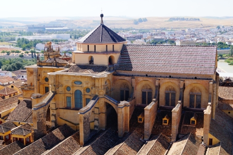 Van Granada: privérondleiding door Córdoba en voorrangstickets