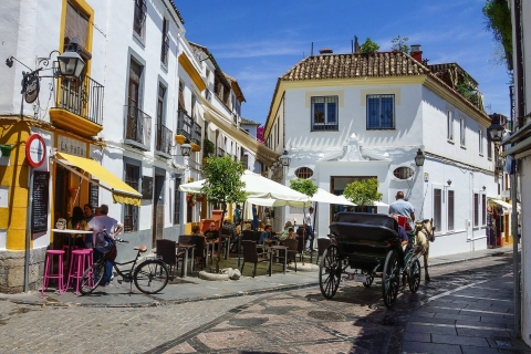 Van Granada: privérondleiding door Córdoba en voorrangstickets