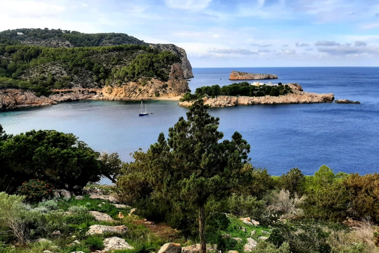Ibiza: tour guiado de la cueva de Can Marçá