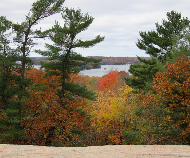 Between Huntsville and Toronto: Smartphone Audio Tour