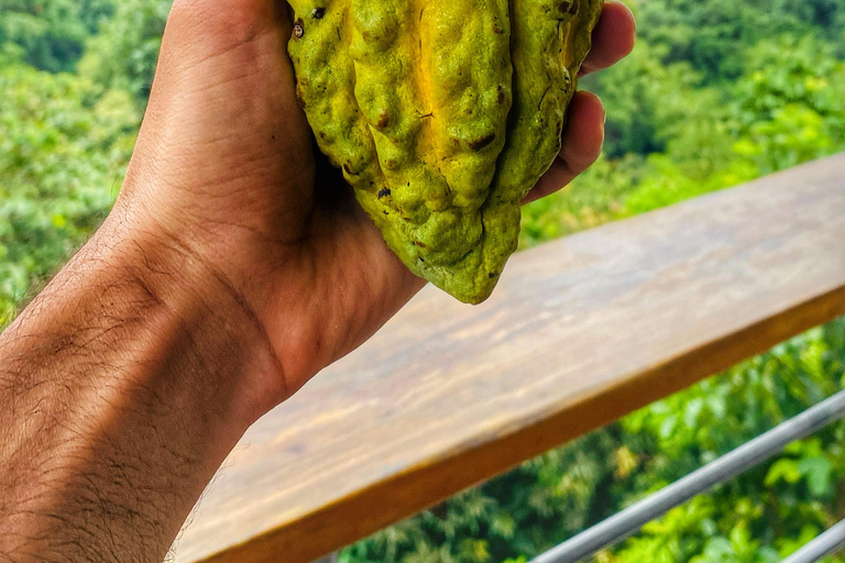 From Santa Marta: Minca and Coffee and Cacao Tour with Lunch Minca Magic and exotic Coffee and Cacao Tour