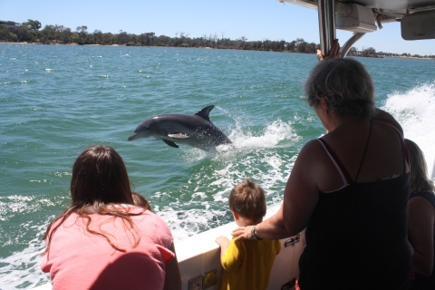 Mandurah: cruise met dolfijnen en uitzicht met optionele lunch