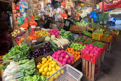Visite privée des collines de chocolat de Bohol