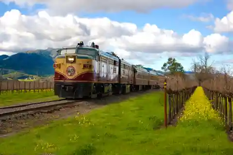 Napa Valley Wine Train: Vista Dome Lunch or Dinner