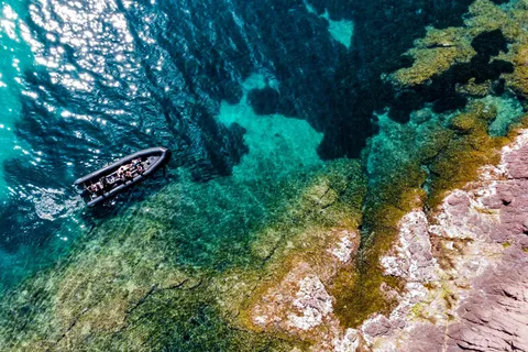 Cannes: Scenic Coves RIB Boat Tour
