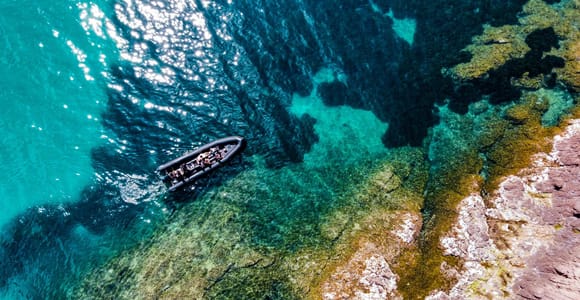 Cannes: RIB Bootstour durch die malerischen Buchten