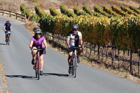Calistoga: Napa Valley Cycling and Winery Tour with Picnic