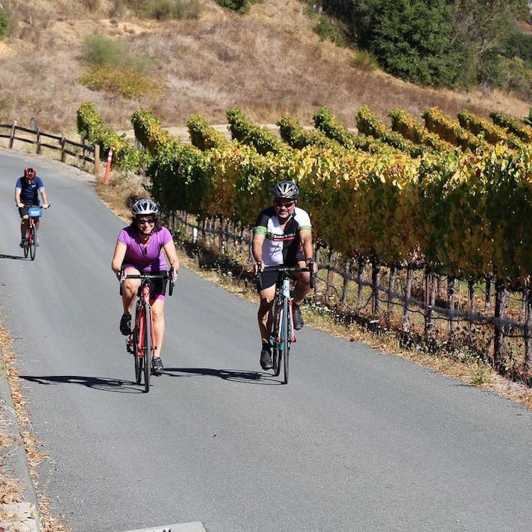 Calistoga: Napa Valley Cycling and Winery Tour with Picnic