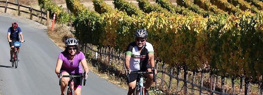 Calistoga: Napa Valley Cycling and Winery Tour with Picnic