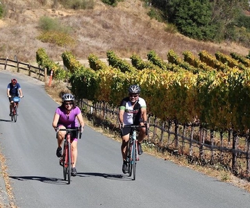 Calistoga: Napa Valley Cycling and Winery Tour with Picnic